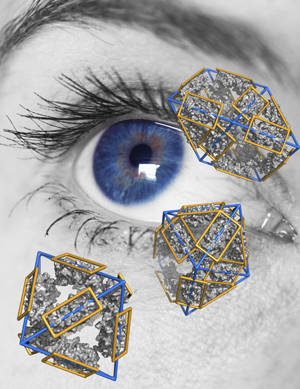 Site logo